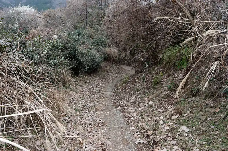 舗装路の激下りを歩いていくと…