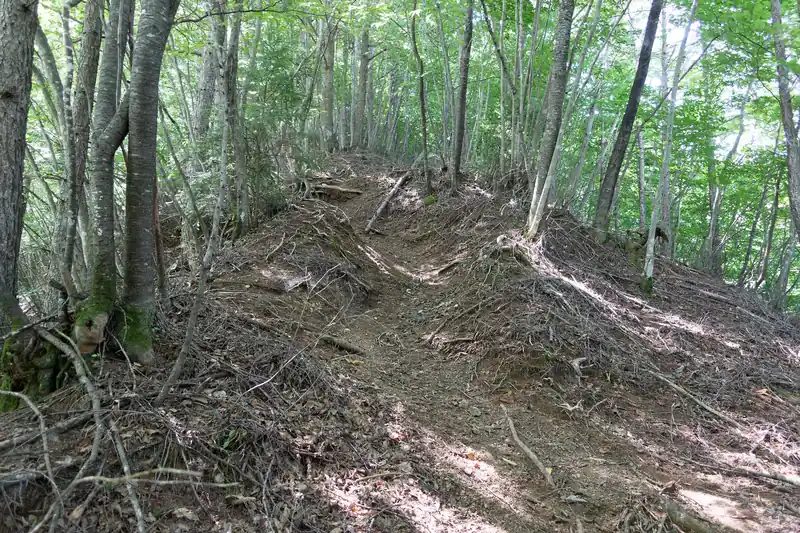 引き続き登っていきます。
この坂はなかなかです。大菩薩嶺西の丸川峠に出る登山道を思い出しました。あっちもこんな感じの道だったな～と。まああっちよりは時間がかからずに登れるので楽といえば楽かな。

なお、珍しく途中にベンチが置いてある地点が一箇所だけあります。