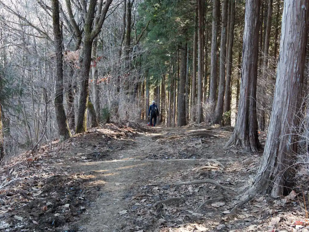 早々に陣馬山頂をあとにして、景信山に向かいます。