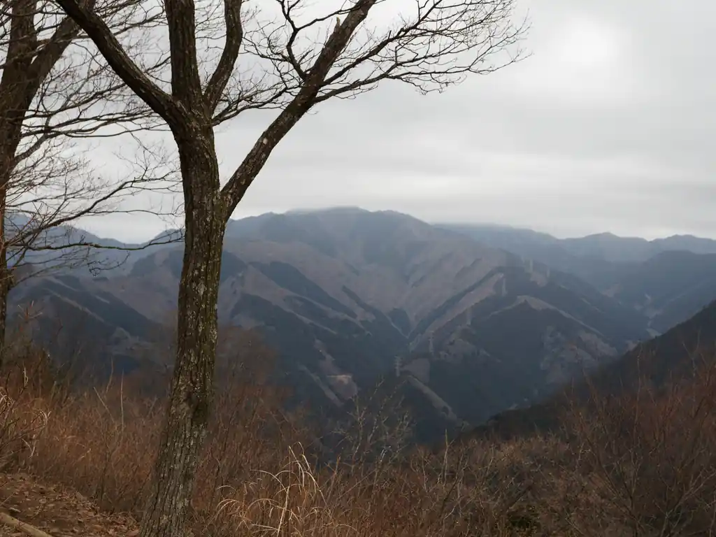 こっちは奥に川苔山かな。川苔山はまだ未踏で、気になってはいるんですが、百尋ノ滝あたりの道が急峻で死亡事故も起きている、ということを聞いてビビっているのでまだ歩いていません。
下山で、体力が残ってない状態では百尋ノ滝周辺は歩くな、とのことです。素直に登りで歩くルートで4月くらいに歩こうかなと思っています。
