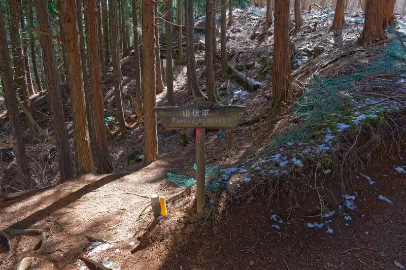 山伏平に到着。ここから矢倉岳へピストンします。