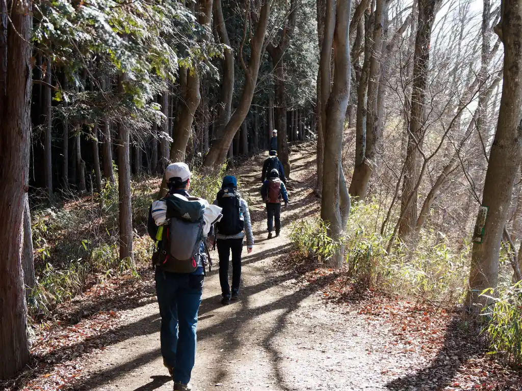 終始周りに他の登山者がいます。人気な縦走コースだなあ。