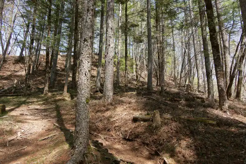 石尾根縦走路手前の坂道。ここまで割と登ってきたので既に足が疲れ気味。