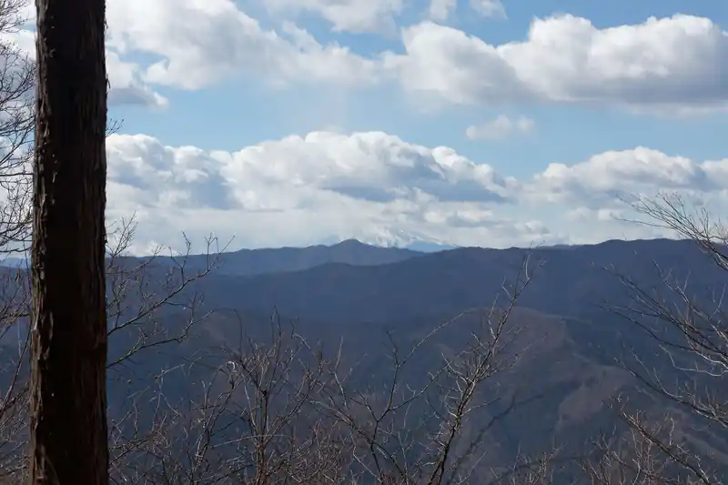 樹間から富士山が見えそうだったが、雲に隠れて裾野がちょっとしか見えず。