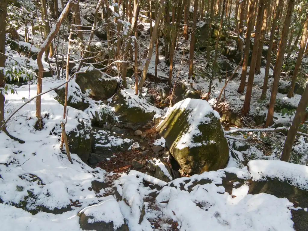 2～3箇所ほど、途中に渡渉点があり、そこは岩が多く降雪があると少し道がわかりづらい。まあ沢をわたって行けば問題ないように思うが…。
なお、この登山道区間では1人のトレイルランナーっぽい人としかすれ違わなかった。