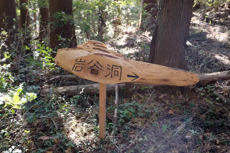 陣見山をあとにして歩いていくと、分岐がありまして、岩谷洞というものがあるようです。
地図で確認したところ、5分10分で帰ってこれるような感じがしなかったので、無視して先に進みます。