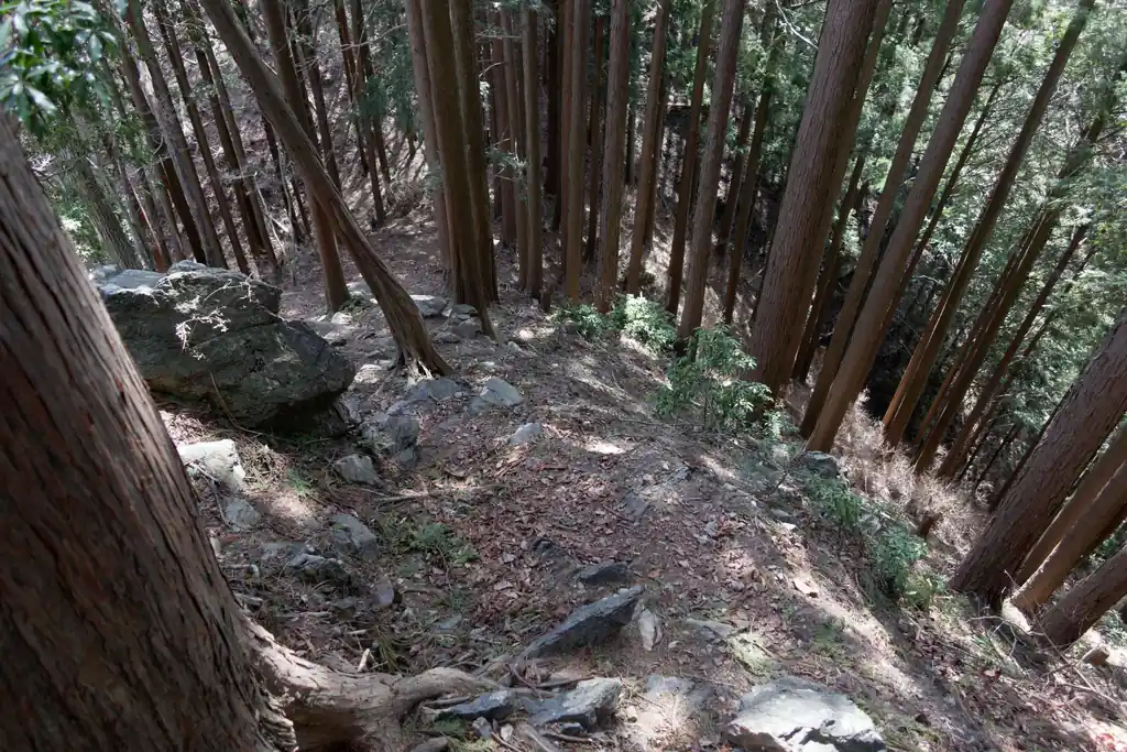 登って急降下します。