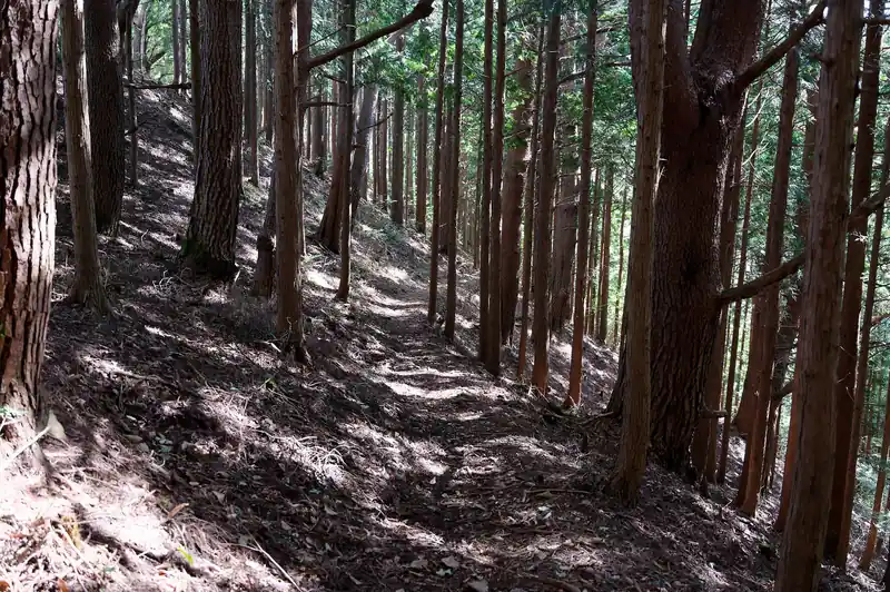 入口付近は荒れてそうな雰囲気を感じたが、登山道自体は非常に歩きやすく、途中道標もあって快適そのもの。