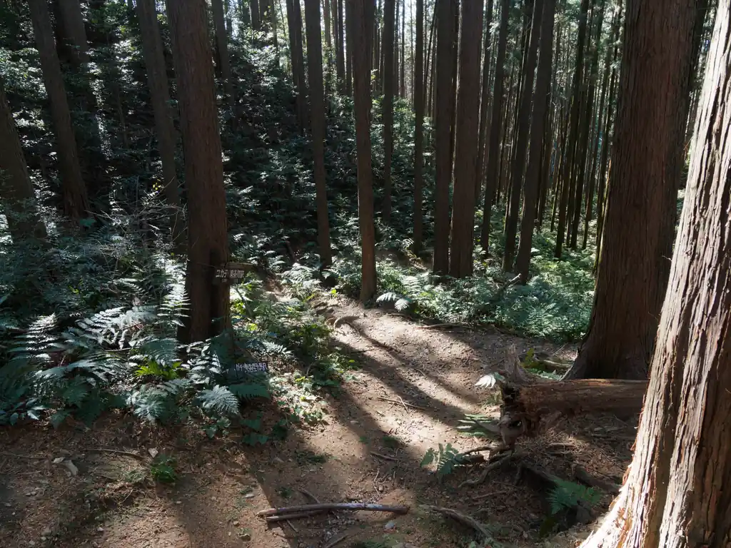 こちらがユガテ方面の道。ここで顔振峠からエビガ坂、ユガテと歩いて東吾野駅に下山するルートは距離が短く歩きやすいお手軽ルート。