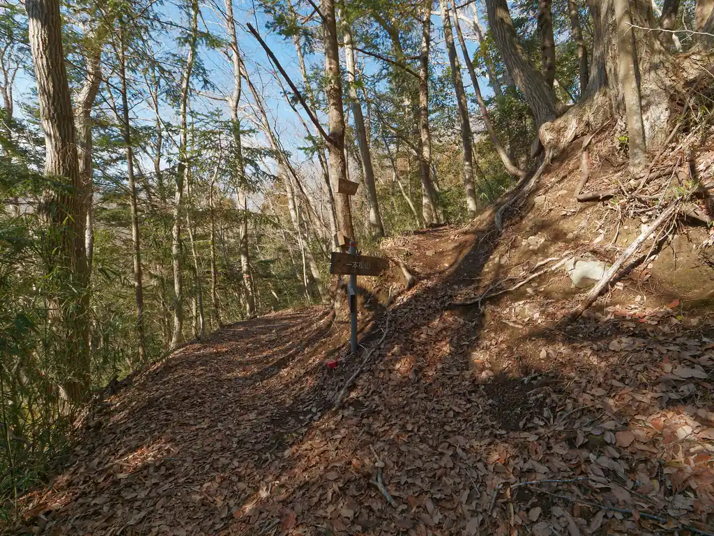 また歩いていって分岐。この分岐はよくわからないが、とりあえず一本松山方面へと歩く。