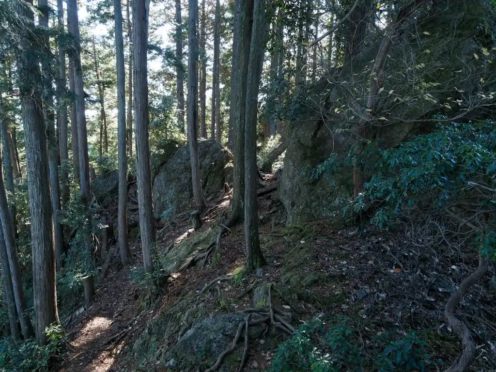 通過後、振り返って撮った写真。
