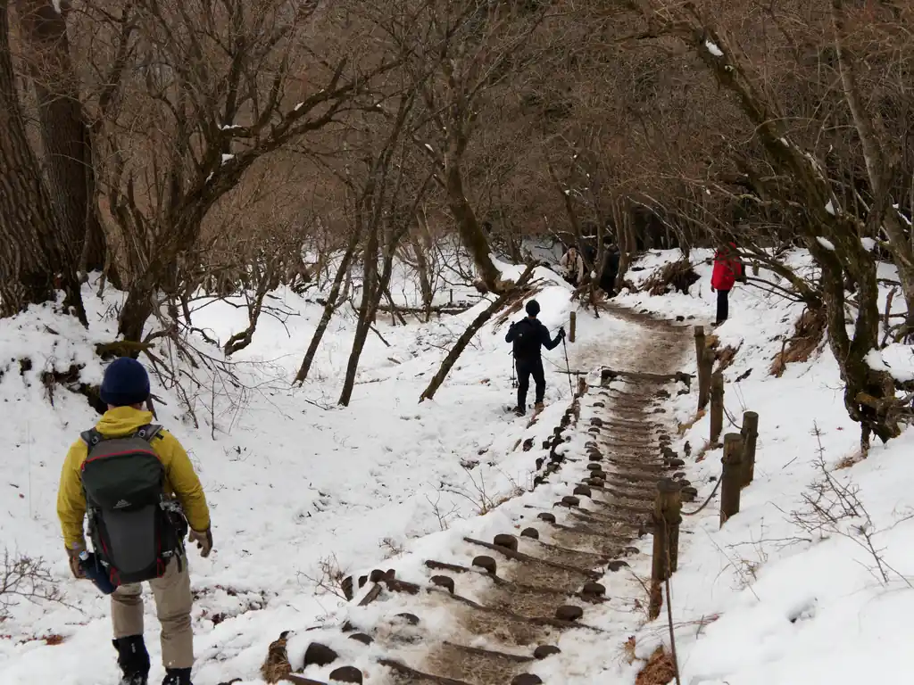 下山はスキーみたく、階段横を滑って降りていく人たち。