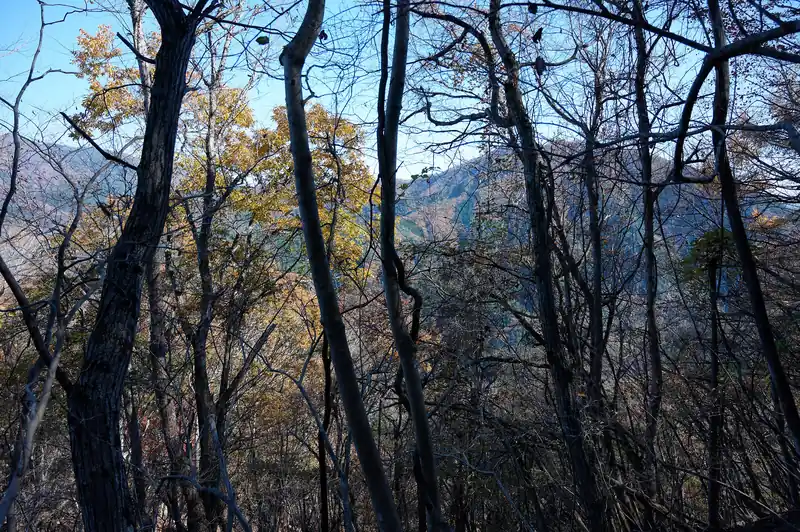 向こうの山が扇山かな。木に隠れてよく見えないけど。