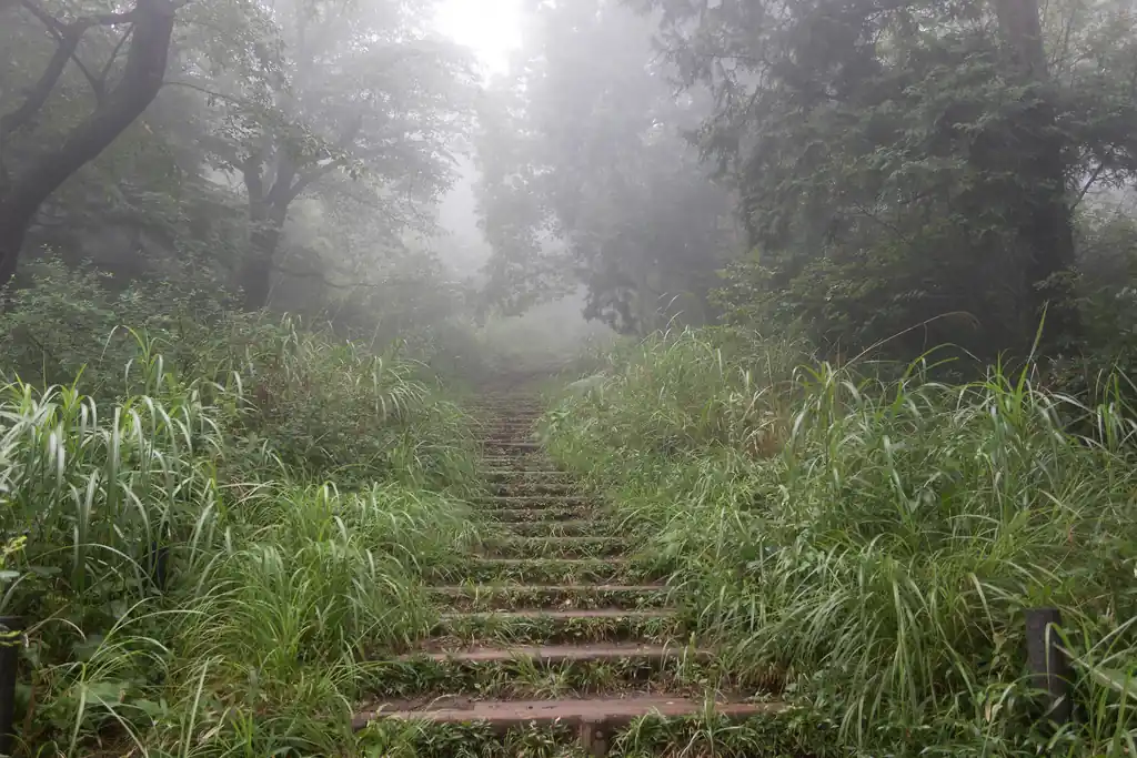 レインウェア着て登りたくない道No.1です。この地点では雨が降ってなくてよかった・・・。