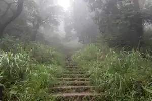真夏の陣馬山から高尾山縦走コース