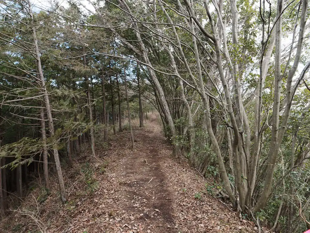 杉峠から登り返して行くと…
