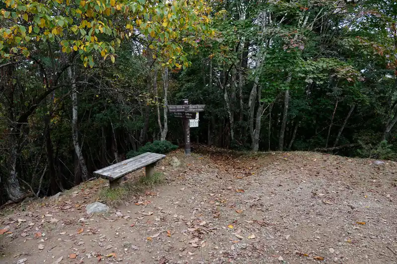 ベンチのある分岐。
写真中央の道標の横から出てくる。

ここから川苔山までピストンするか、鳩ノ巣駅へ下るか、日向沢ノ峰方面へ歩いていくか、の分岐となる。