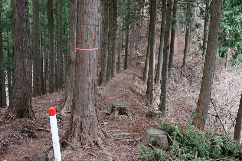 登りきって痩せ尾根を渡ると…