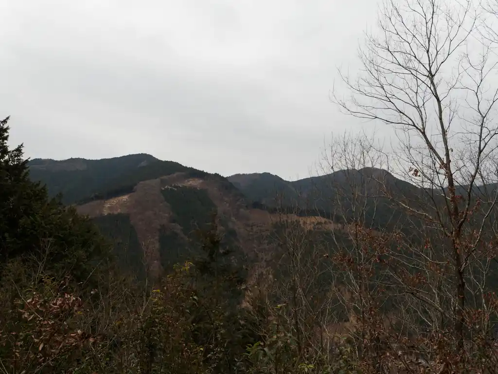 そのまま登っていくと尾根に出て送電鉄塔。
ここは少し開けていて見晴らしが良い。前日までは晴れ予報でしたが、当日歩いてみると曇になっており、まだ午前中なのに暗く、陰鬱な雰囲気。

向かいの伐採地があるあたりが惣岳山かな？