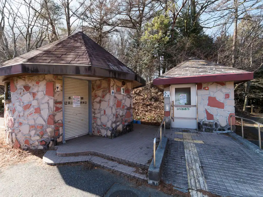 県民の森の広場に出てきた。