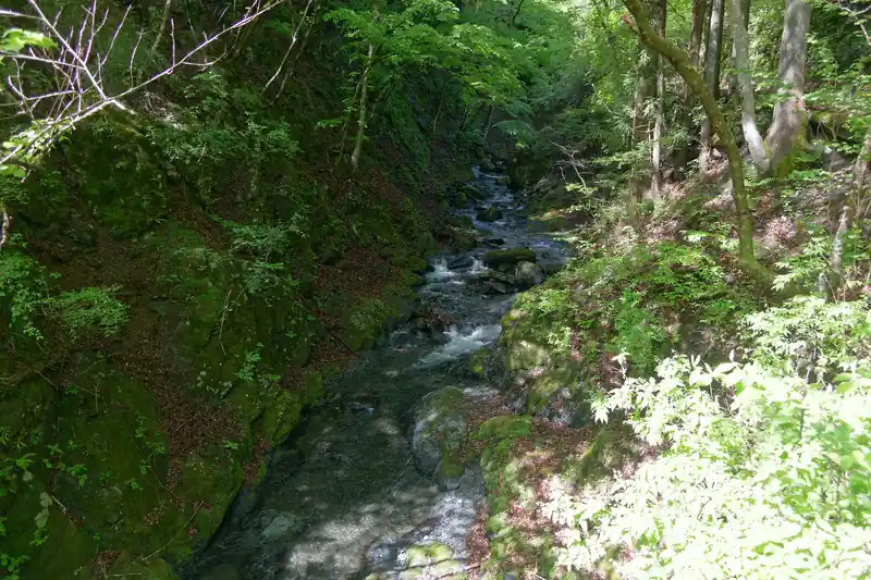 水量の多い沢。
バス停から歩きながら沢も見ていましたが、なかなか険しい雰囲気のする沢で沢まで降りていくのは大変そうです。