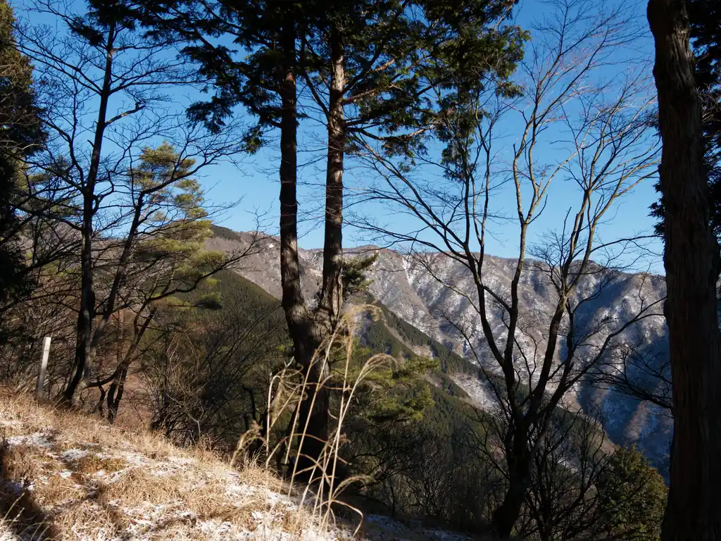樹間から覗けるのは表尾根の縦走路かな。
前夜の降雪で山肌が白くなっていますね。