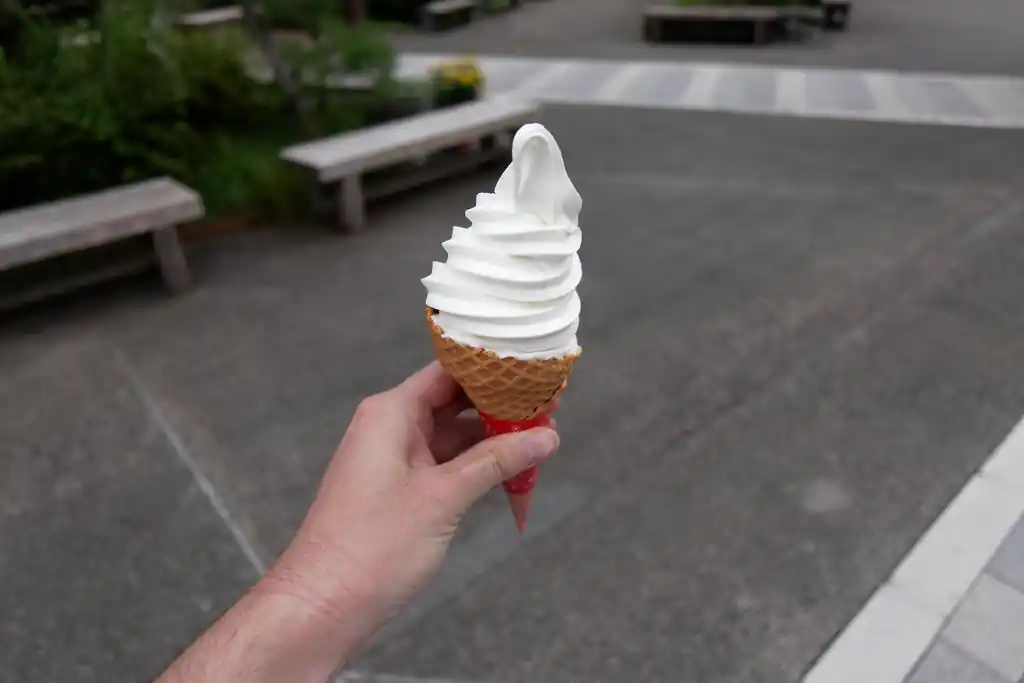 道の駅によってソフトクリームを食べます。
前回は紅茶ソフトクリームを食べたので、今回はミルク。ここのソフトクリームはやけにボリュームがある気がする。ずっしり重い。
味はもちろんおいしい。ふんわり系というより、固めなアイスが私好みです。

久しぶりに食堂で丼ものでも食べようかと思ったけど、全身汗でビショビショだし、二子山一周だけだとそんなに疲れなくてカロリー消費も少ないのでやめておきました。
芦ヶ久保の道の駅の食堂は美味しいんだけど、量がちょっと多いんですよね。がっつり登った登山者向き。