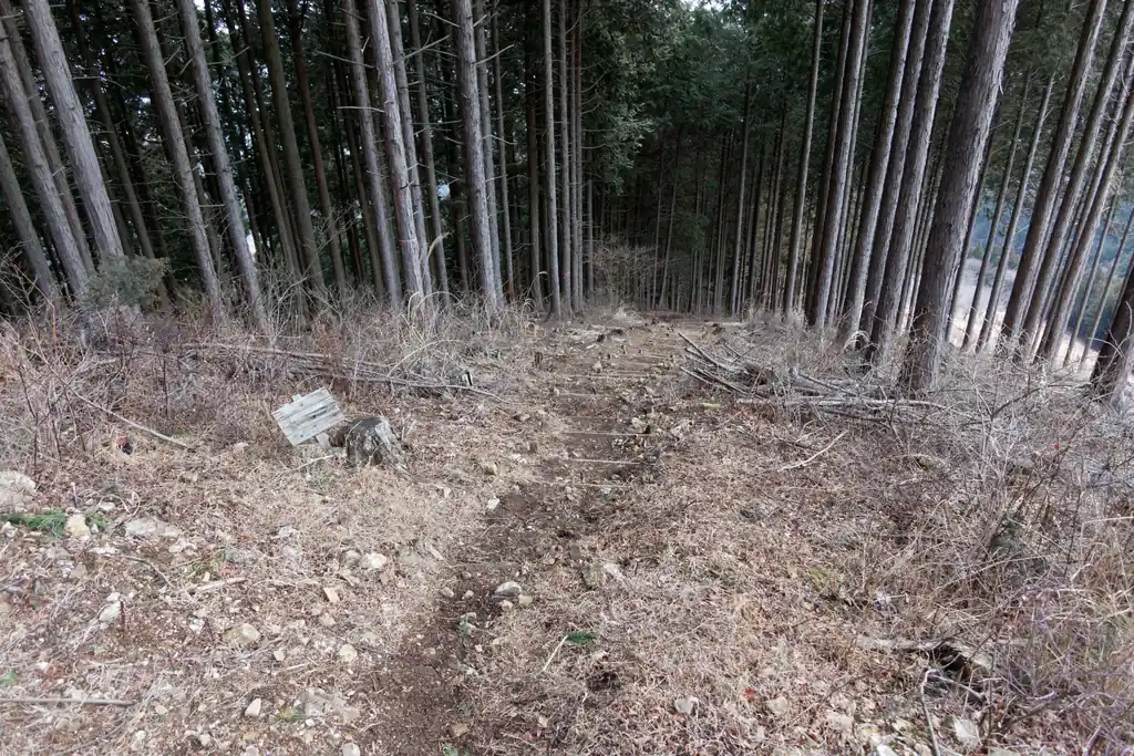 一気に下っていって…