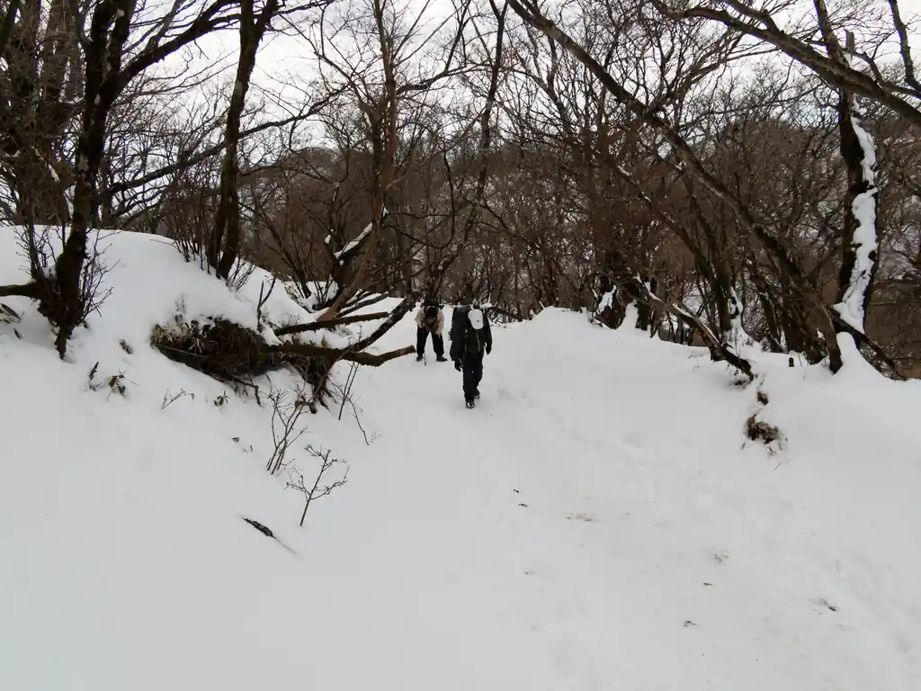 ピストンで大倉尾根を下るだけですが、流石に雪が多い。下りは登りとは違う怖さがありますな。まあ軽アイゼンつけてるからグリップ間が全然違うんだけど。