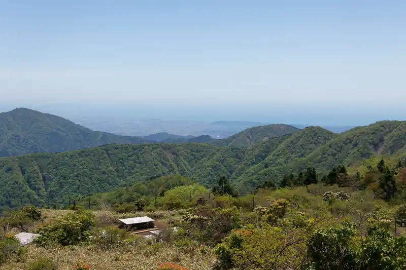 奥は相模湾。もしかしたら江の島も見えているかも。左のピークは大山かな。