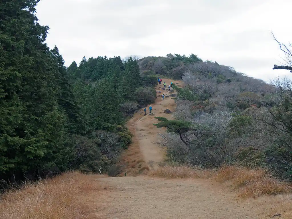 ここで達磨山付近ですれ違ったらしいグループ登山者に追いつく。