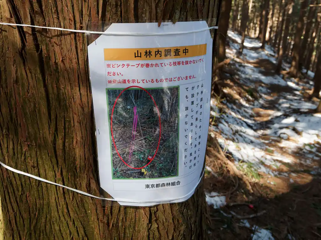 ということなので、勝手に抜かないように！
ピンクテープは登山道の目印に使われることもあるので、紛らわしいと思って勝手に抜く人もいるんだろうな…。
