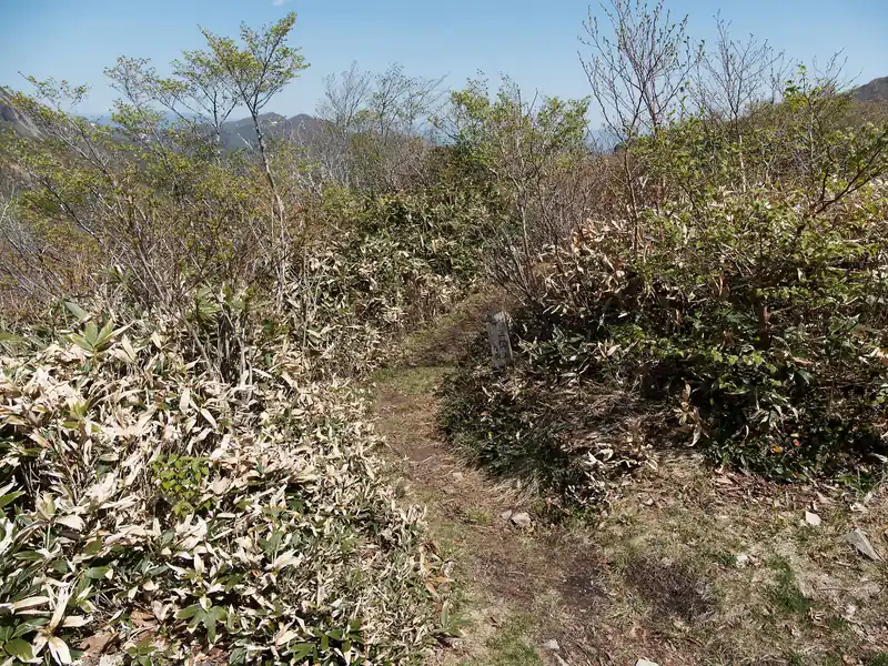 三国峠へ通じる登山道。