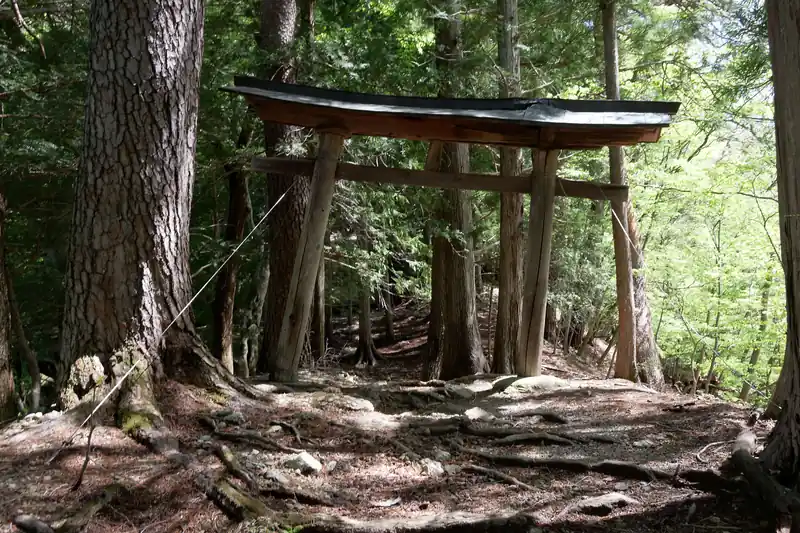 倒れかけの鳥居が出てきて、奥に社がありました。