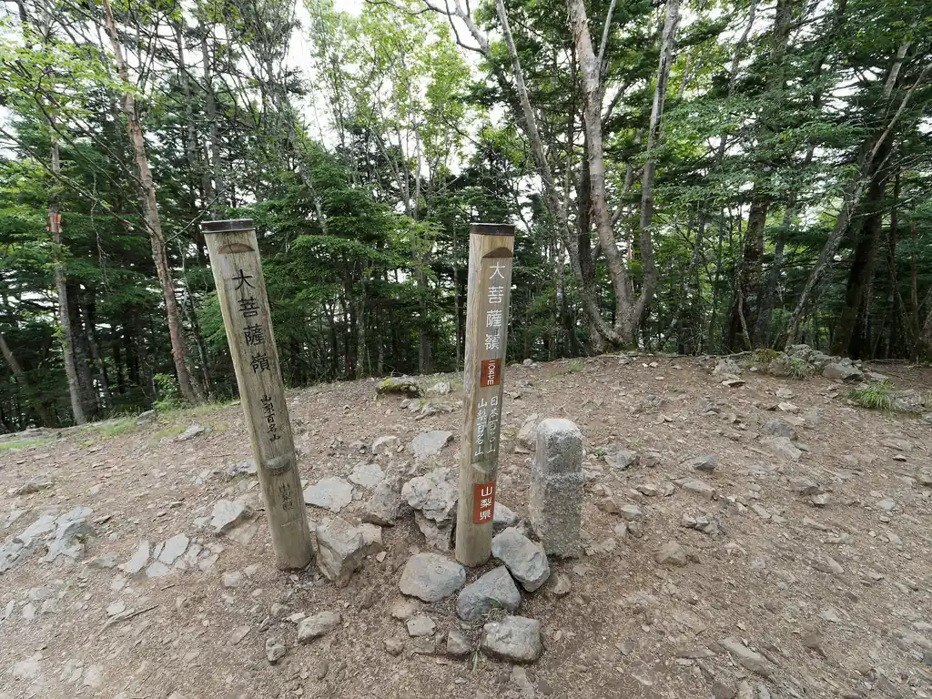 大菩薩嶺山頂に到着しました。が、木に囲まれているので景色は全くと言っていいほどないです。
そして誰もいない、ハエがたかってくるのみ。
写真をとったらすぐに雷岩に向かいます。