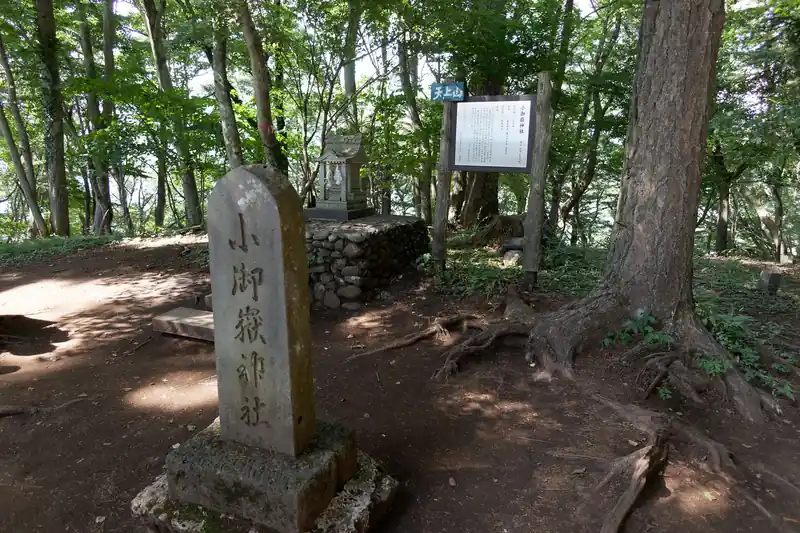 途中、熊目撃情報があって心細いので一緒に歩かないか、と声をかけられ、もちろん承諾して一緒に歩いて天上山までやってきました。
道中は山トークに花を咲かせましたが、このあたりでその登山者とは別れ、再びソロ山行となりました。