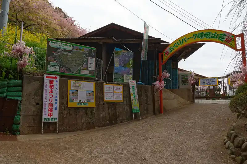 すると今度は菜の花まつりの会場に行き当たった。
ここに着く少し前にGPSを見て道を間違えていることには気づいていたんですが、そのまま進んだ先の地理院地図には黒破線の登山道表記があったので、なんか行けるんじゃね？と思い進んでしまった。
まあなんとかなると思うので、とりあえずこのまま進んでみましょう。