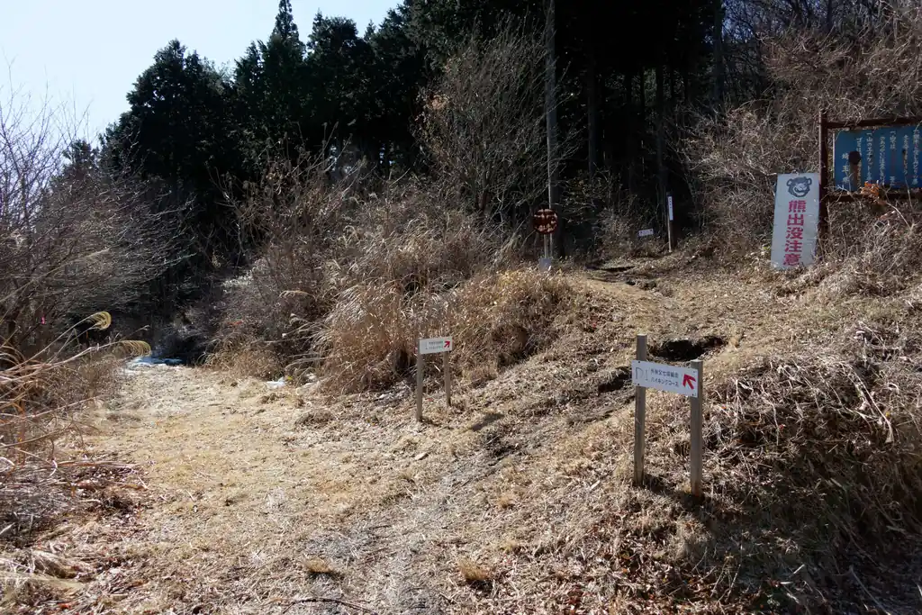 最後の登り道に行きます。ここらへんは登山道がいくつか出ているものの、バリルートでどれくらい歩かれているのかは謎。