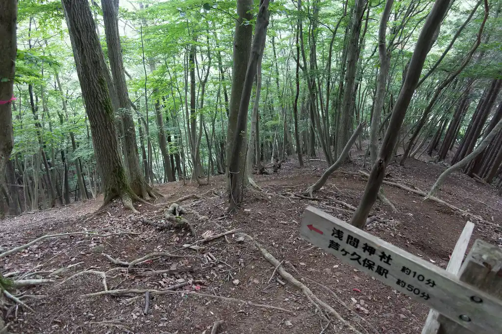 ここで90度左にターン。ここから下る斜面が急でまたちょっと怖い。