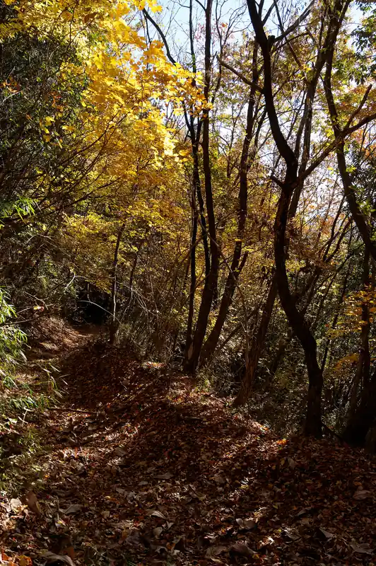 紅葉が綺麗です。なかなか良い道です。