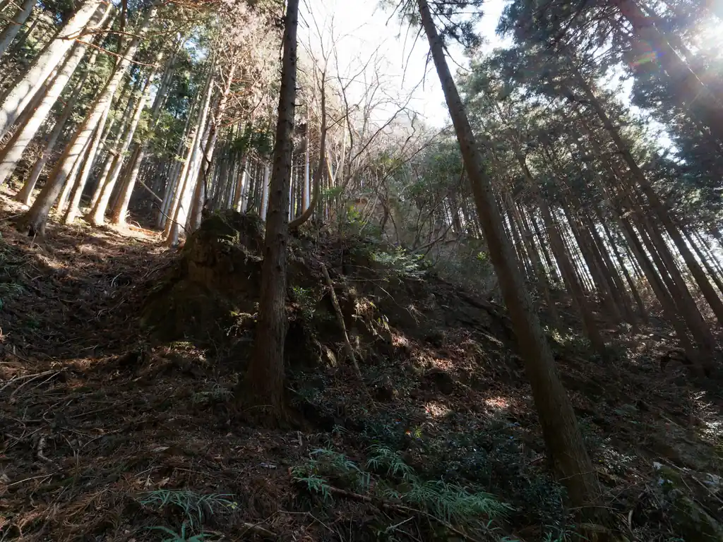 こういうのを見ると歩いてみたいなあ、と思ってしまう。
左側とか、頑張れば登っていけそうだし。