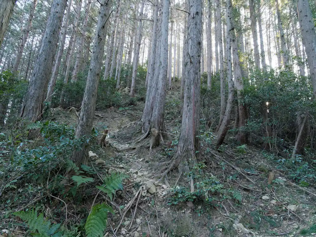 また登り返して…