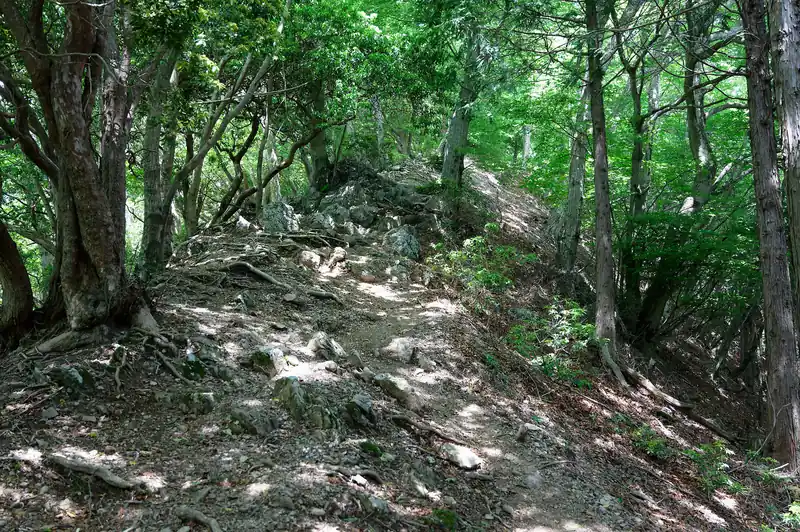 こちらは大持山方面。