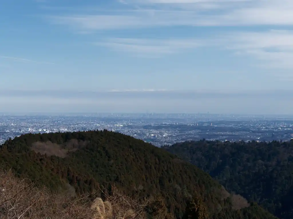 都心方面の見晴らしがよく、ここからもスカイツリーが見える。