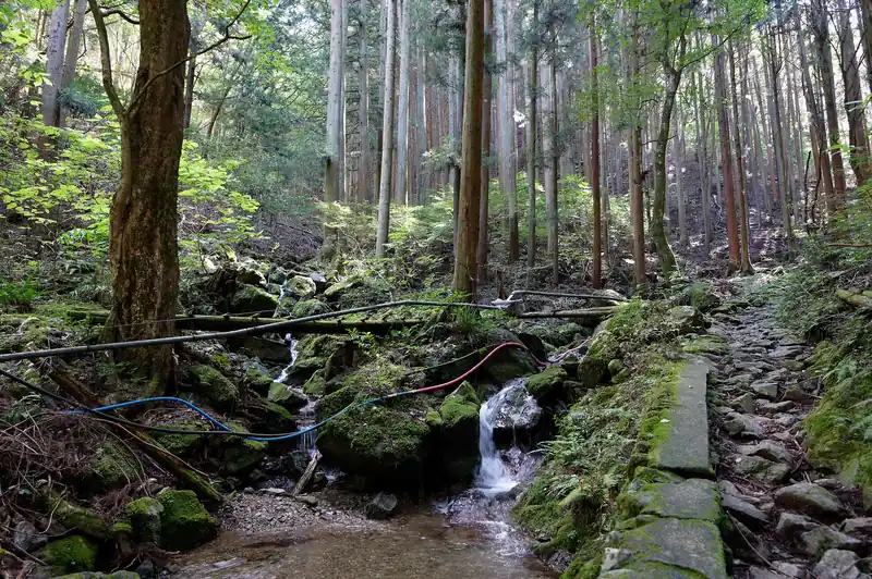 峠の茶屋手前のあたりに沢水を引いているのかポリタンクとチューブが見え…