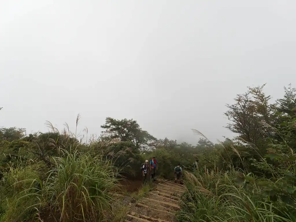 うーん、晴れてればさぞ良い景色が見えるんだろうなあ…。
最近登る山はずっとこんな感じで非常に修行間強めです。冬は空気が澄んで眺め最高なんですけどね。