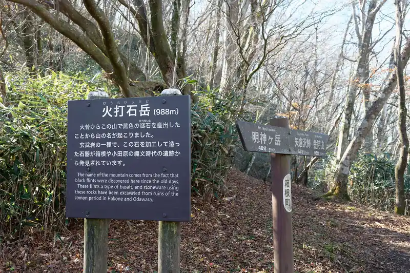火打石岳に到着。本当の山頂はここではなく、近くのピークらしいですが、登山道はないので、便宜的に山頂標がここにある模様。