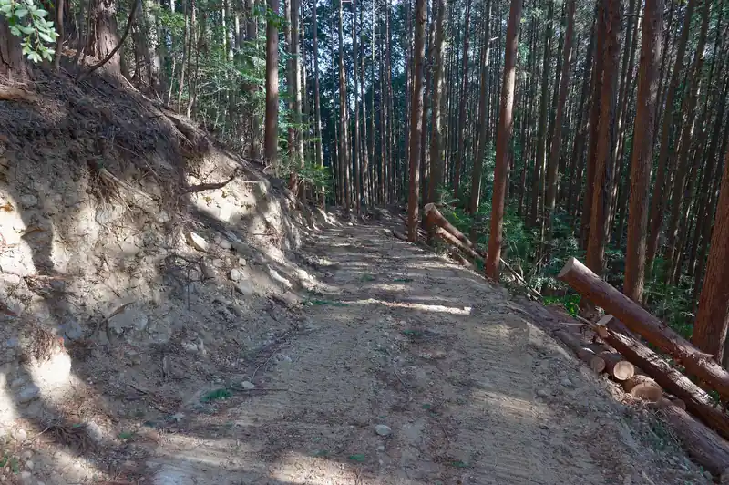 ブル道を歩いていきます。