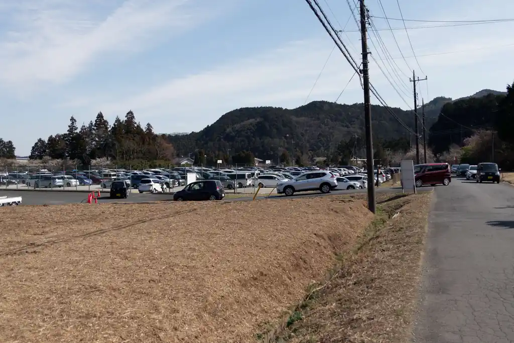しばし車道を歩いて大高取山を目指します。途中車が行列を作っていましたが、これはどうやら越生梅林の駐車場っぽい。

そんなに人気なのか越生梅林。