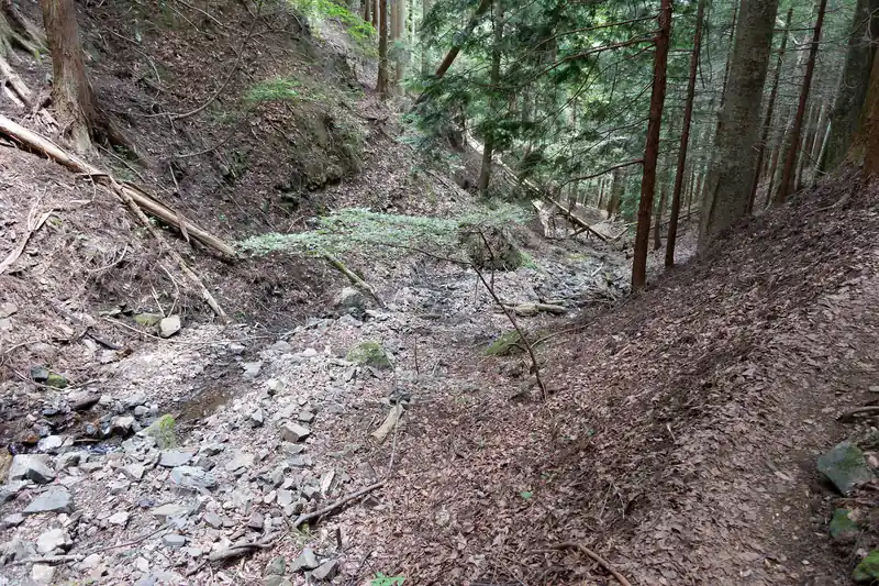とはいえ、沢には水量は少ないですが水は流れているので、それを利用すれば手を洗うくらいはできるかな。
飲むのは煮沸するか、浄水器利用でしょう。